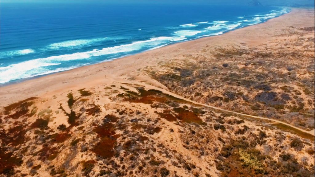 At some beaches in San Luis Obispo county, you will need to walk a bit from the parking lot...but worth it