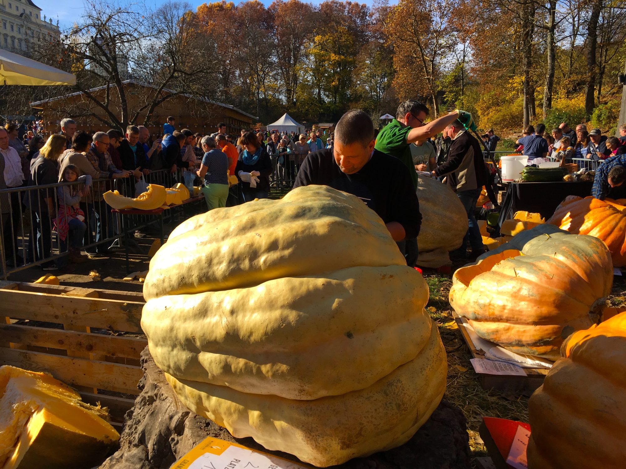 Ludwigsburg Pumpkin Festival The Largest Pumpkin Festival in the World!